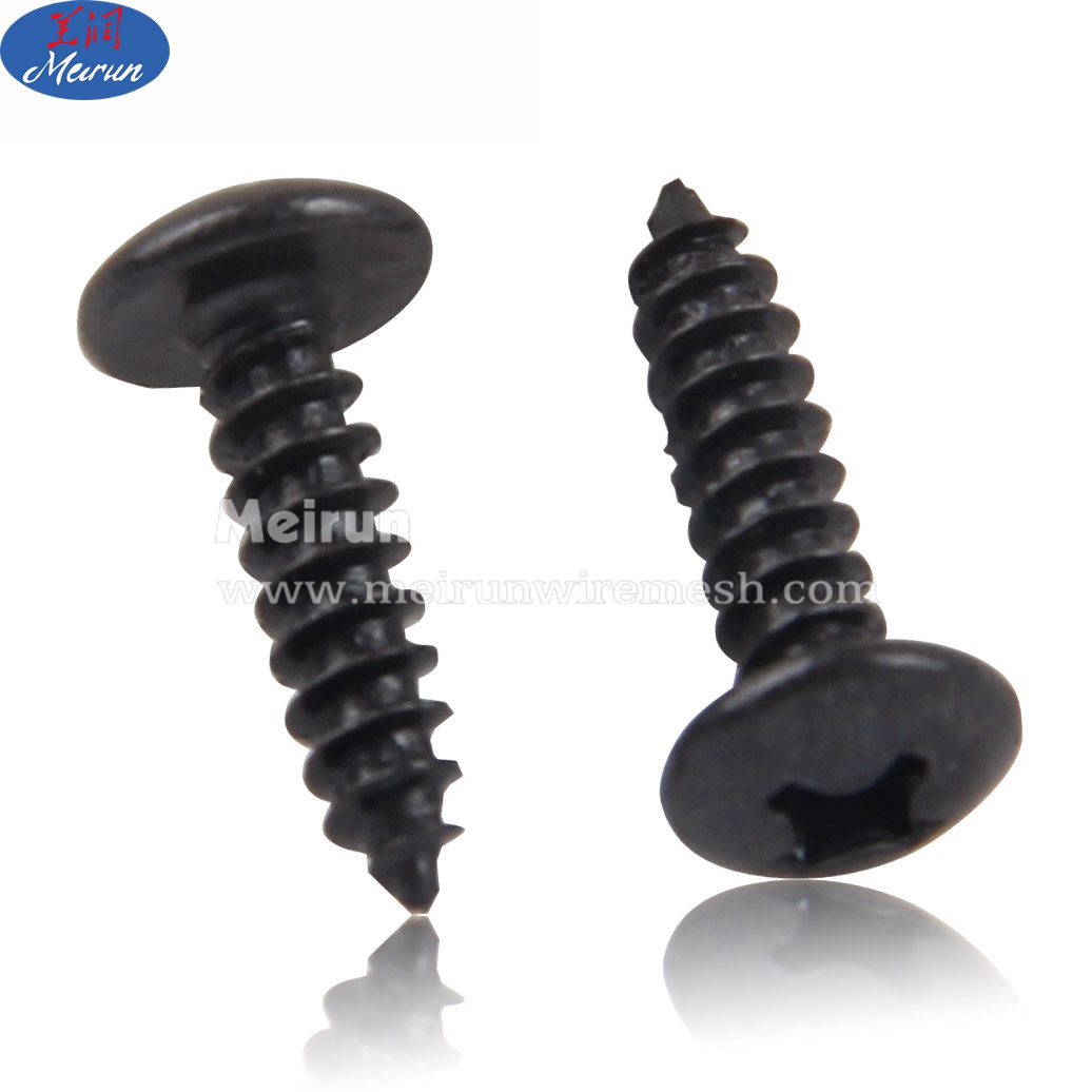 Stainless Steel Self Tapping Screws All Kind Of Head Tapping Screw SS Self-tapping Screw